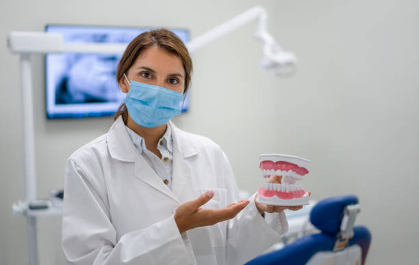 Best Emergency Dental Care for Broken or Chipped Teeth in Hudson Lake, IN